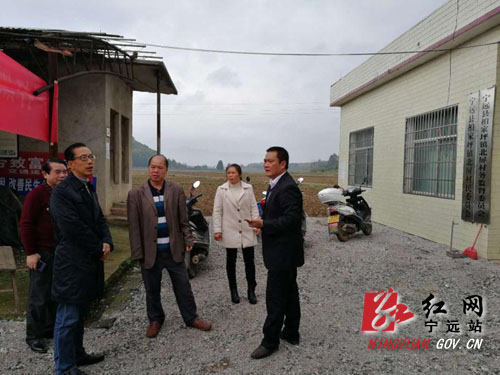宁远：刘军君深入柏家坪镇检查指导扫黑除恶工作