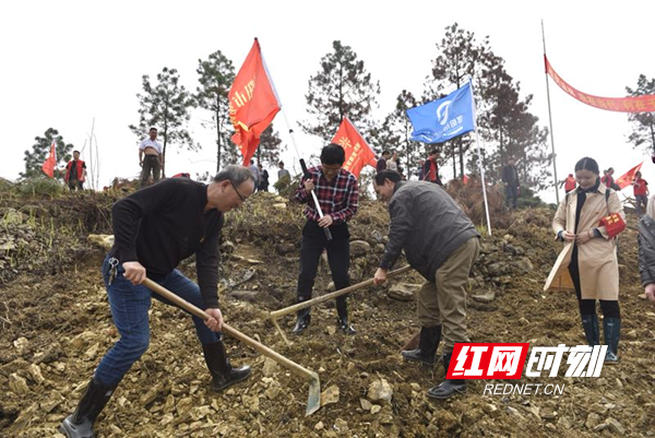 邵阳市四中积极响应号召开展党员义务植树活动