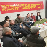 党建引领+网格化管理  让“扫黑除恶”宣传暖心到家