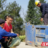 长沙县助力脱贫有方法 春天里种下万亩“致富树”