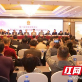 以乡土文化助推乡村振兴 《中国地情报告(2018)》推广长沙经验