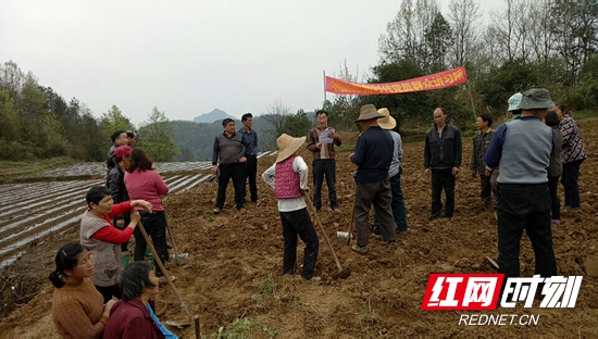 永定区王家坪镇木山村新时代党员群众讲习所“走进”田间地头