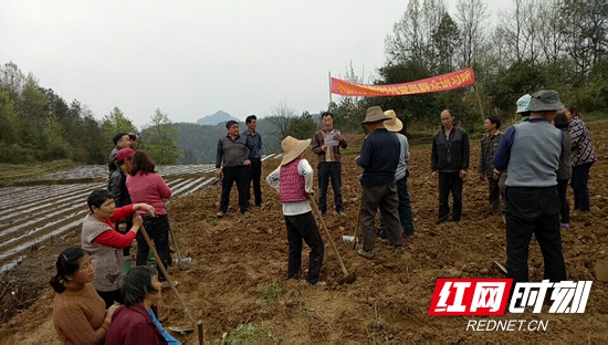 田间地头学习习近平扶贫论述及对湖南重要批示.jpg