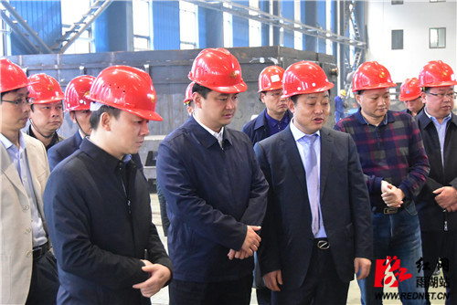 雨湖区领导督查全区安全生产,防汛备汛等重点工作