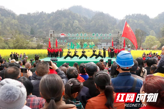 永定区：红土坪·栗子坪第二届油菜花节浓情开幕！