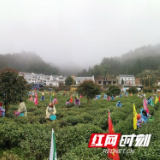 以春为约共赴“千年茶旅”   宁乡市沩山首届茶旅文化节启动