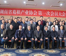 为产业航母装上高速引擎 湖南省葛根产业协会成立