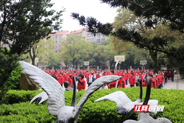 株洲白鹤小学校训图片