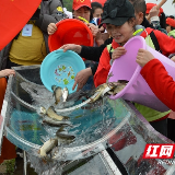 “鱼人节”丨江华：300万尾鱼苗放流涔天河