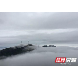 蓝山为7家企业减负社保降费744520元