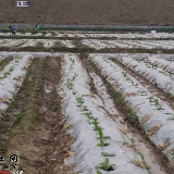 道县梅花镇：农民百万工钱全部兑现到位