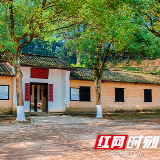  他的名，我的城 | 杨开慧：惟愿润之革命早日成功