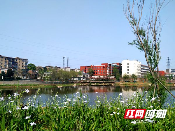 微信图片_20190401203504.jpg