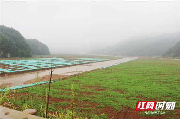 陶家河支流甘溪河重金属污染治理工程.jpg 陶家河支流甘溪河重金属污染治理工程.jpg