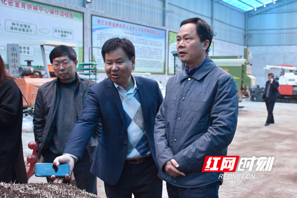 谢景林一行了解育秧新技术。.jpg