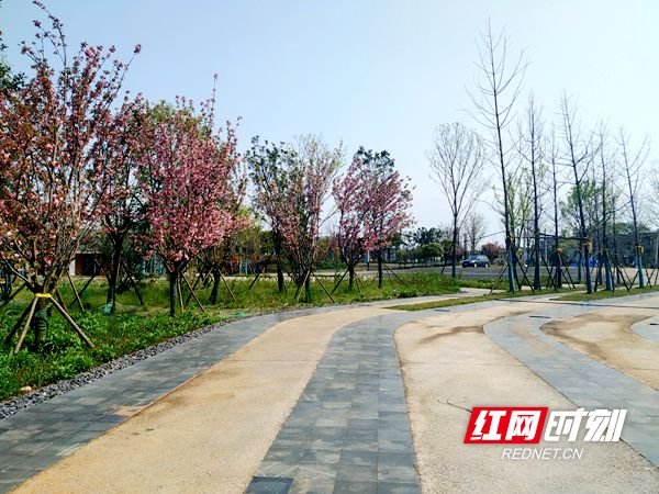 微信图片_20190401203537.jpg