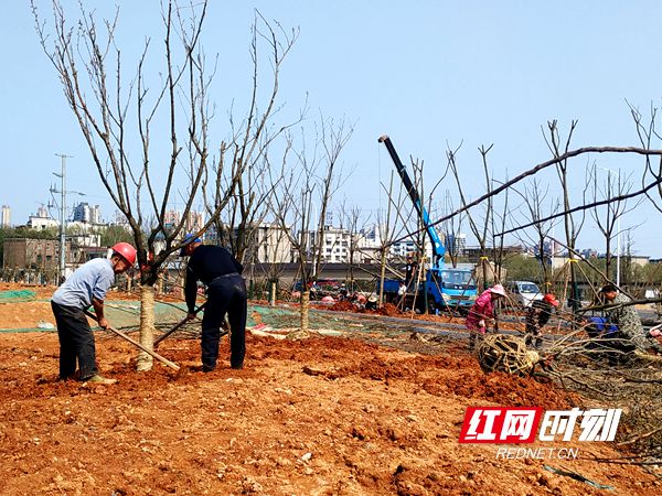微信图片_20190401203604.jpg