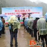 “鱼人节”丨金洞：10万鱼苗放流金白河  打造生态水系