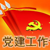 以党建为引领 助推娄底国投加速发展