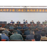 武冈市召开乡镇（街道）机构改革推进会