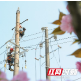 配电台区后移50米助力107国道暮云段城市化改造