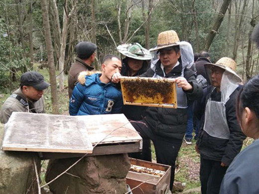 慈利县：2019年蜜蜂养殖技能培训班圆满结束