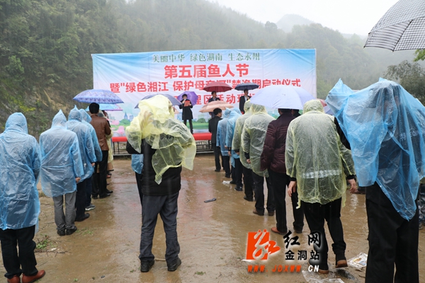 金洞：10万鱼苗放流金白河  打造生态水系