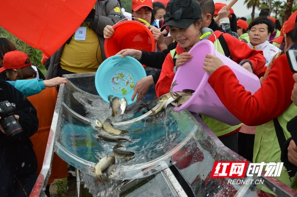 江华:300万尾鱼苗放流涔天河