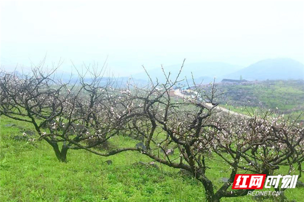 微信图片_20190402160351.jpg 微信图片_20190402160351.jpg