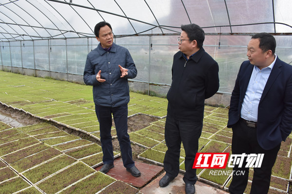 永州市副市长谢景林（左一）率队调研春耕生产工作。.jpg