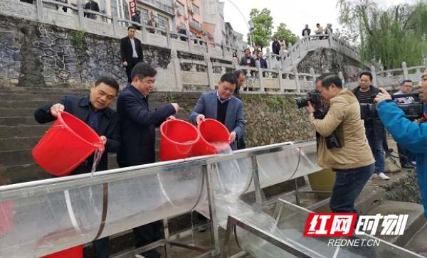 “鱼人节”丨道县：20万尾鱼放流入河