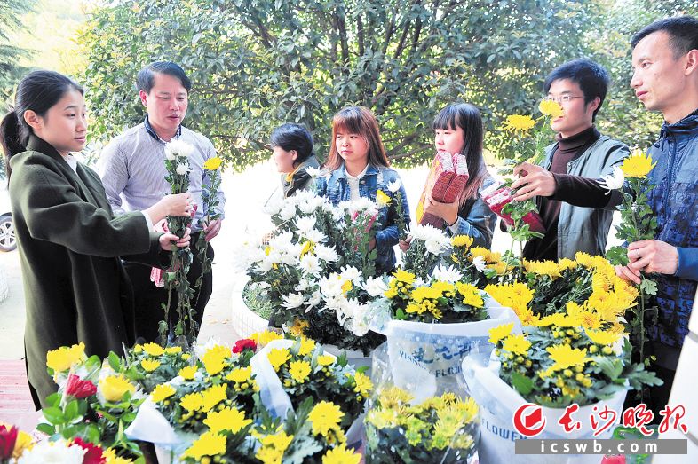 　　长沙凤凰山陵园的工作人员免费向前来扫墓的市民提供鲜花，条件是要将鞭炮纸钱等祭扫物品留下。　　长沙晚报全媒体记者 贺文兵 摄