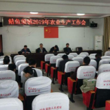 一年之际在于春！鲇鱼须镇农业生产抓得紧