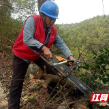 娄底清明防山火特巡消除输电线山火隐患点37处