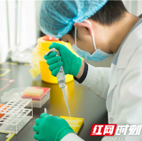 出生缺陷防治技术获突破 系湖南人和未来研发团队首创