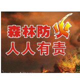 娄底：严打涉火违法犯罪 查处5起森林火灾案件