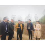 徐康荣到团洲乡调研脱贫攻坚和人居环境整治工作