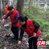 清垃圾+播草籽 保护环境党员在行动