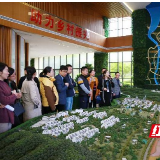 聚焦乡村振兴示范 探寻“浔龙河”之“星”路