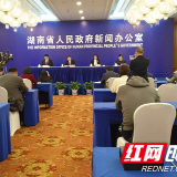 159家500强企业参会，这届“港洽周”看点多多