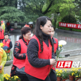 石鼓区：清明祭英烈 共营文明风