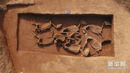 （图文互动）（2）河南三门峡发现西周虢国邦墓 出土随葬品上千件