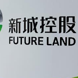 新城控股销售额3年增7倍超2000亿 遭上交所16问