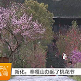 新化：奉嘎山办起了桃花节