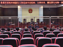 娄星法院：创新运用恢复性司法理念助推生态修复