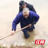 别怕，“衡阳群众”守护你！他不识水性却跳进水塘将老人救起