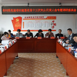 党建带妇建暨省第十三次妇女代表大会专题调研在武冈举行