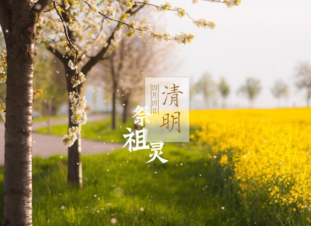 清明时节,做到“三养、三防”,或许让你一整年少生病