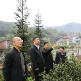 金洞：强排查 防隐患