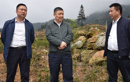 王行水深入溆浦调研指导脱贫攻坚工作